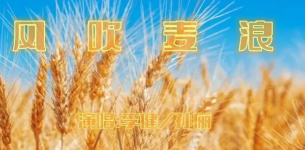 风吹麦浪歌曲表达什么意思