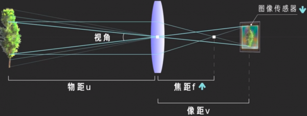 照相机焦距和物距的关系