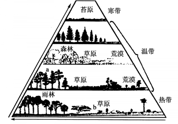 我国森林植被类型有哪几种高中地理