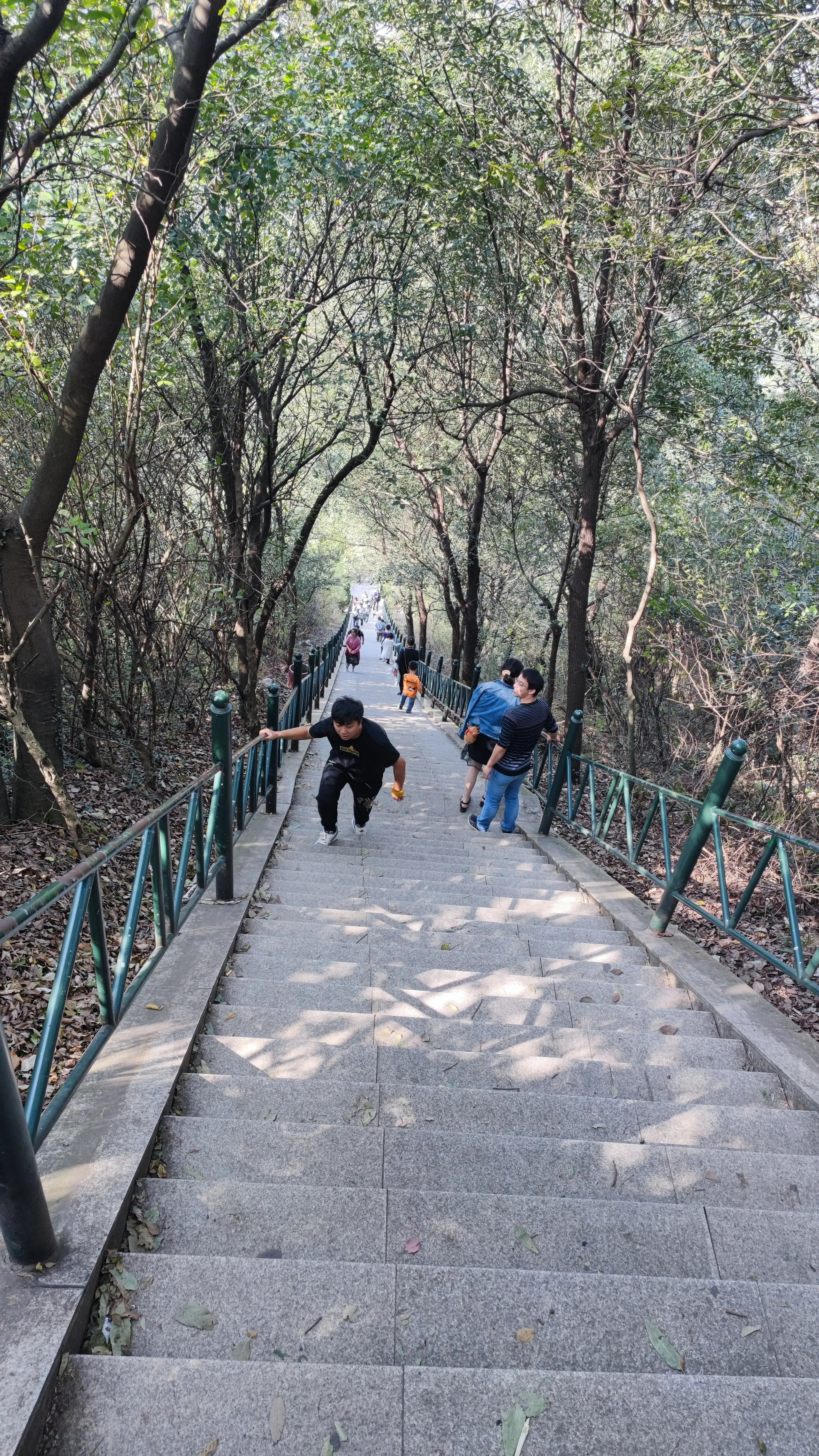 九真山风景区在哪里