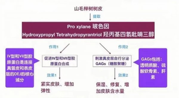 玻色因对皮肤的作用与功效