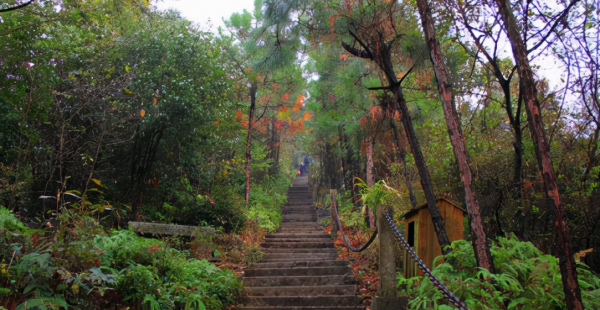 景德镇旅游十大景点