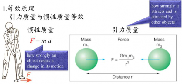 四维人类长什么样