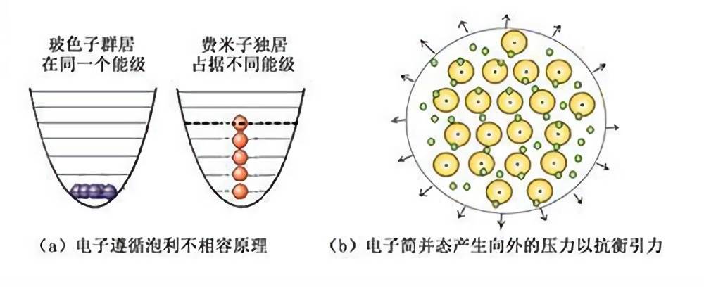 密度最大的金属