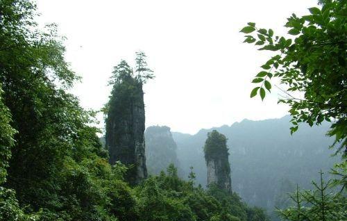 湖北省鹤峰县属于哪个市管