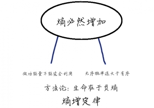 熵增定律对人生的意义和启示