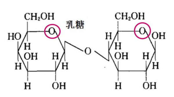 高中生物中还原糖有哪些