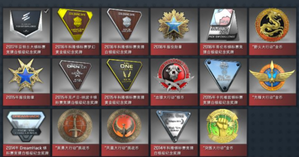 csgo胸章是干嘛的？在什么位置