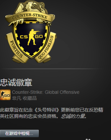 csgo胸章是干嘛的？在什么位置