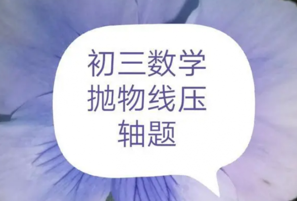 数学压轴题不会做怎么办