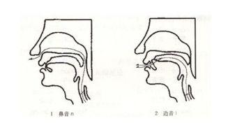 卷舌音和平舌音有哪些字母