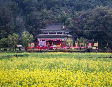 中国最美乡村—江西婺源自驾游攻略