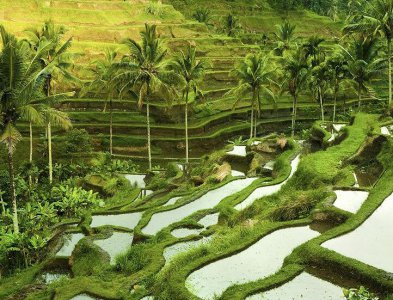 江西婺源自由行旅游攻略 尽情游玩山水画般美景