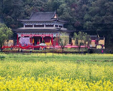 三月去哪里旅游最好