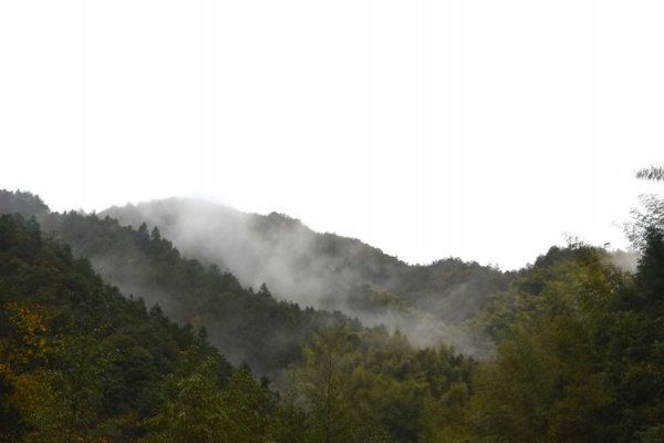 题西林壁刻在哪个地方现在，庐山还是西林寺