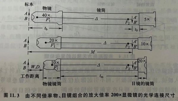 物镜和目镜的区别口诀