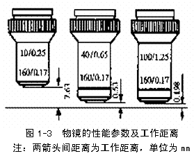 物镜和目镜的区别口诀