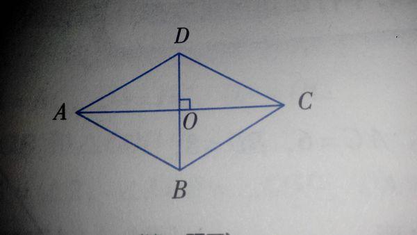 菱形的面积怎么算利用对角线