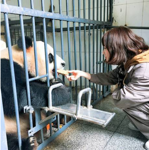 动物饲养员的招聘有什么要求