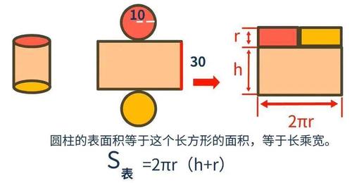 相对表面积是什么意思，如何计算的？