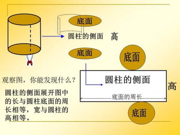 相对表面积是什么意思，如何计算的？