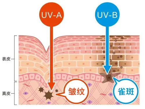 uvc杀菌是什么意思