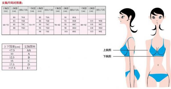 女生罩杯尺码表对照表