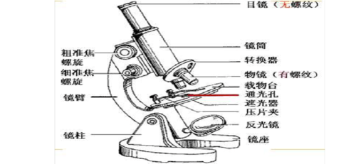 高中正确使用显微镜的七个步骤口诀