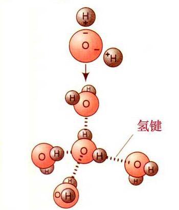 氢键的形成条件及特点