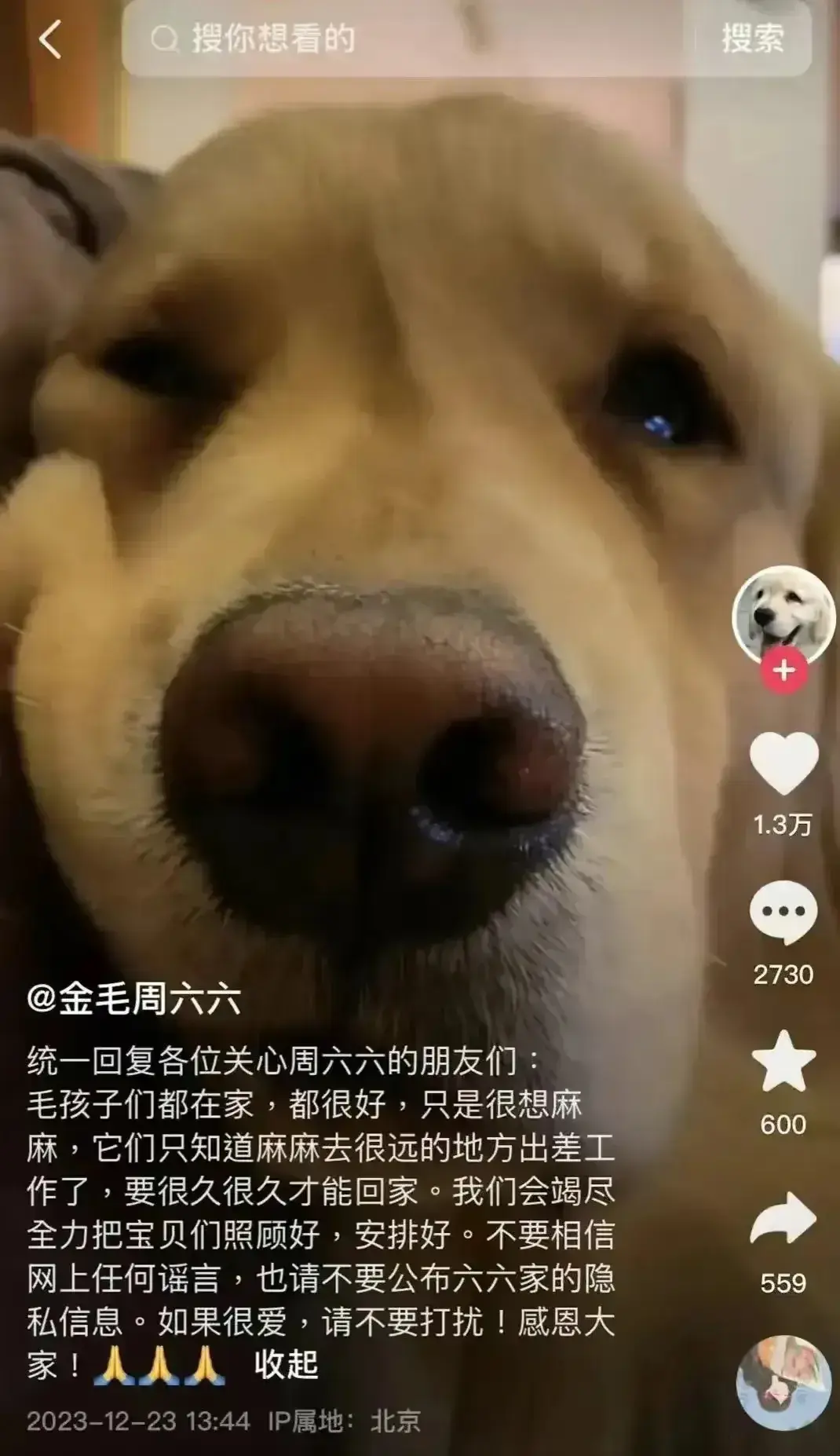 演员李勤勤（S-Y）周海媚爱犬