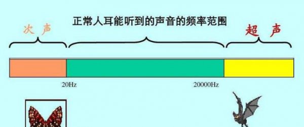 初中物理超声波和次声波的应用有哪些例子