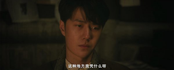 电视剧追风者剧情介绍