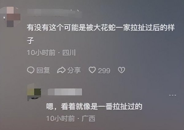 汪小菲报警引发轰动