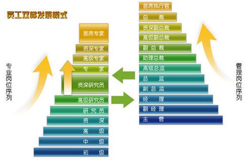 cso是什么职位什么工作