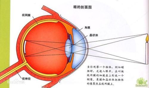 物理实像和虚像的区别