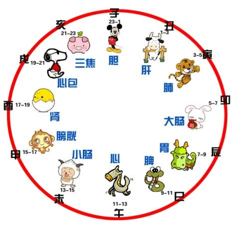 白天13点到15点是什么时辰和生肖