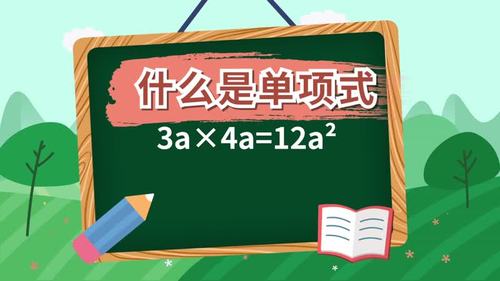 单项式除以单项式的概念