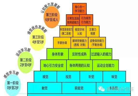 儿童开始认识事物的属性在哪个阶段