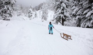 看雪发朋友圈唯美短句 合适看雪发的句子