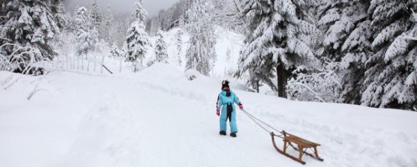 看到雪景的心情句子