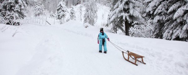 看到雪景的心情短句