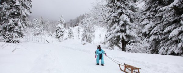 初雪经典语录