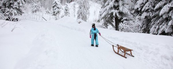 暴雪等级划分