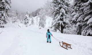 雪地里车走不了怎么办 为什么有的车雪地不打滑