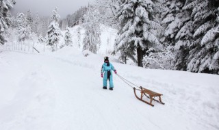 新车用扫把扫了积雪 扫帚可以扫车上积雪吗