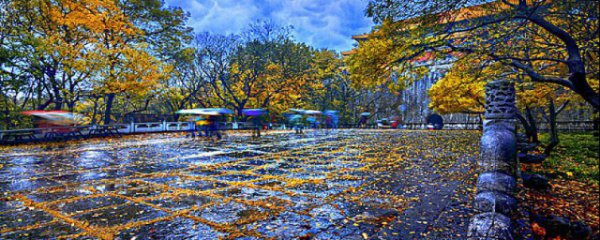 俗语一场秋雨一场寒有科学依据吗