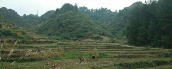 怎样看阴宅风水宝地