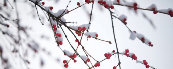 小雪节气下雨打雷