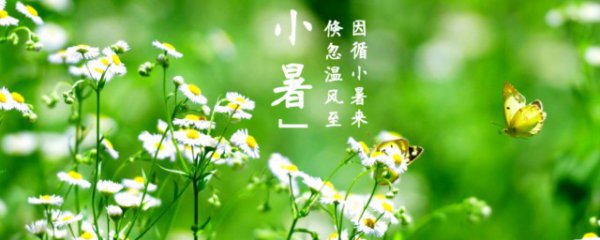 节气小暑是什么意思