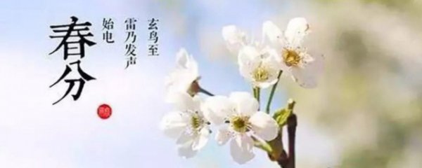 春分这个节气有什么特征